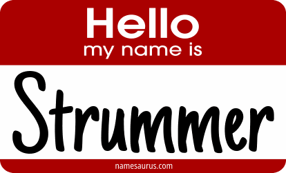Hello my name is Strummer png download