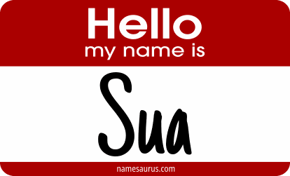 Hello my name is Sua png download