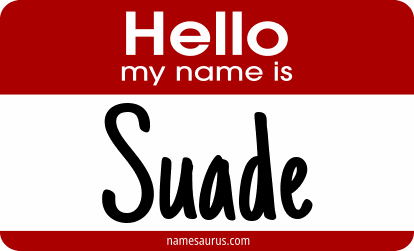 Hello my name is Suade png download