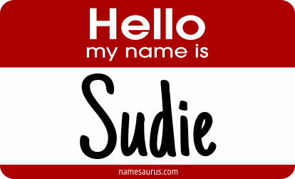 Hello my name is Sudie png download