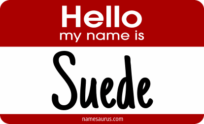 Hello my name is Suede png download