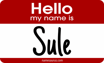 Hello my name is Sule png download
