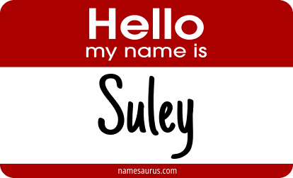 Hello my name is Suley png download