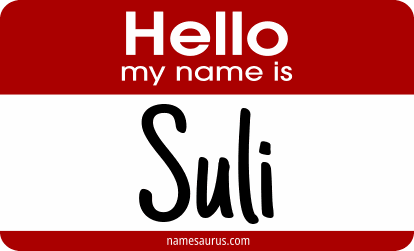 Hello my name is Suli png download