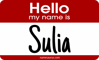 Hello my name is Sulia png download