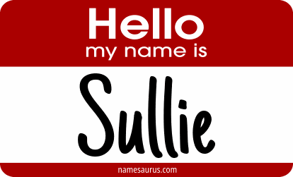 Hello my name is Sullie png download