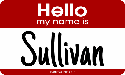 Hello my name is Sullivan png download