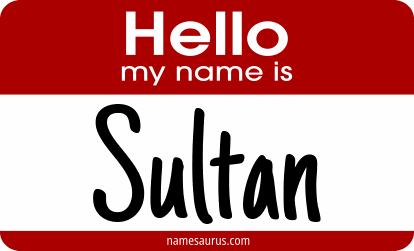 Hello my name is Sultan png download