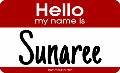 Hello my name is Sunaree png download