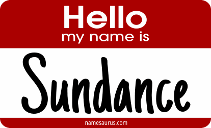 Hello my name is Sundance png download