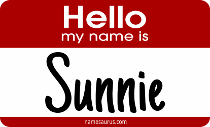 Hello my name is Sunnie png download