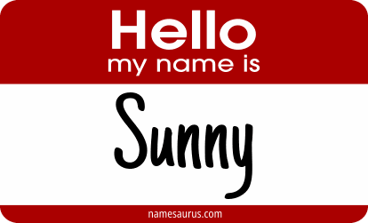 Hello my name is Sunny png download