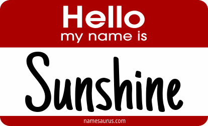 Hello my name is Sunshine png download