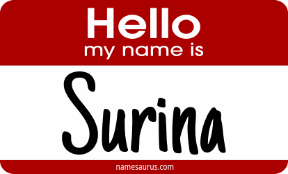 Hello my name is Surina png download