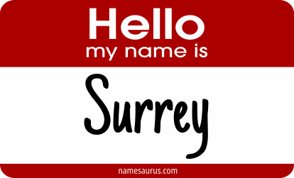 Hello my name is Surrey png download