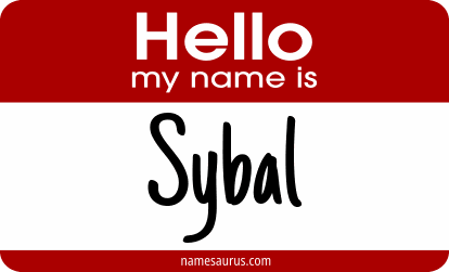Hello my name is Sybal png download