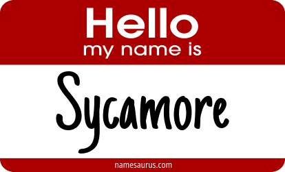 Hello my name is Sycamore png download