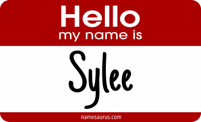 Hello my name is Sylee png download