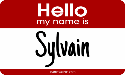 Hello my name is Sylvain png download