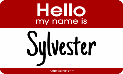 Hello my name is Sylvester png download