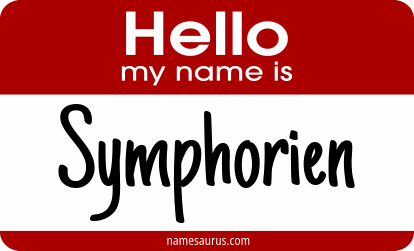 Hello my name is Symphorien png download