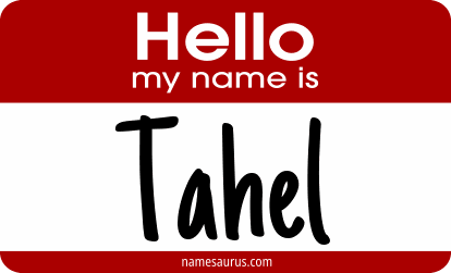 Hello my name is Tahel png download