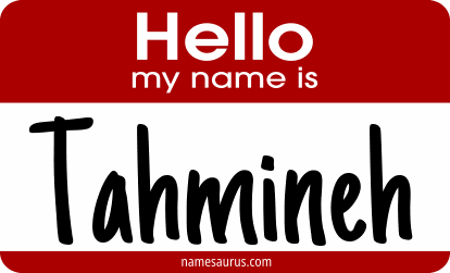 Hello my name is Tahmineh png download