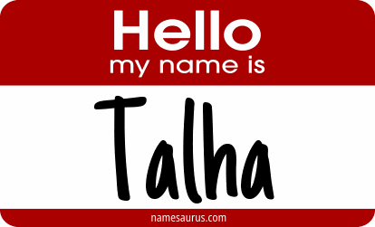 Hello my name is Talha png download