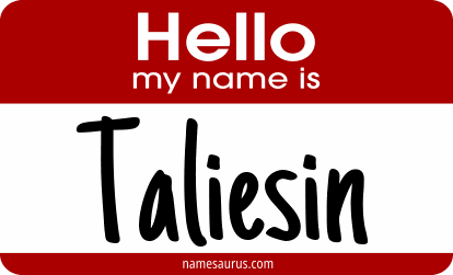 Hello my name is Taliesin png download