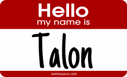 Hello my name is Talon png download
