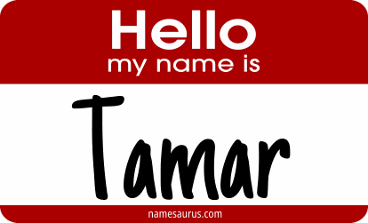 Hello my name is Tamar png download