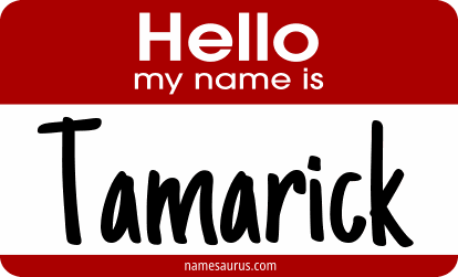 Hello my name is Tamarick png download