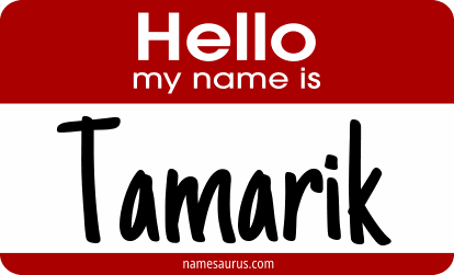 Hello my name is Tamarik png download