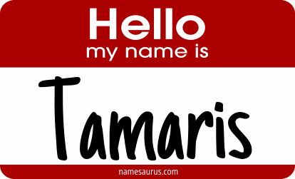 Hello my name is Tamaris png download