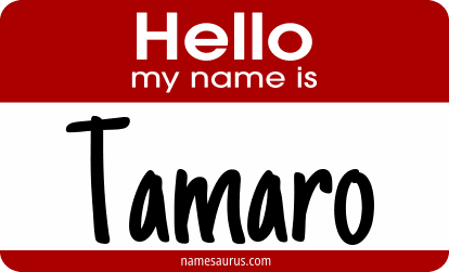 Hello my name is Tamaro png download