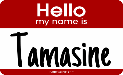 Hello my name is Tamasine png download