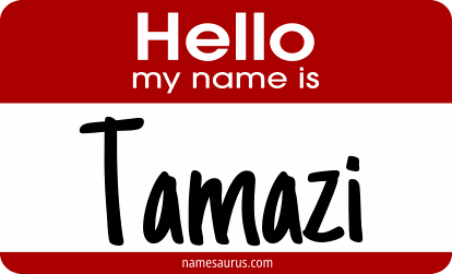 Hello my name is Tamazi png download