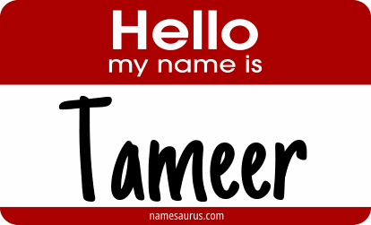 Hello my name is Tameer png download