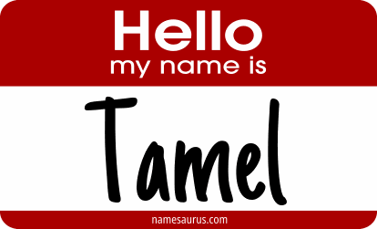 Hello my name is Tamel png download