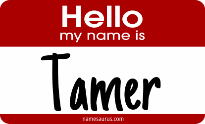 Hello my name is Tamer png download