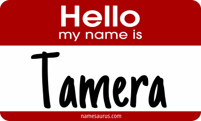 Hello my name is Tamera png download