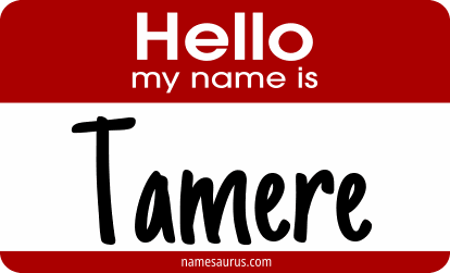 Hello my name is Tamere png download