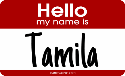 Hello my name is Tamila png download