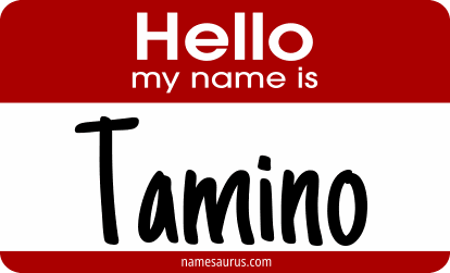 Hello my name is Tamino png download