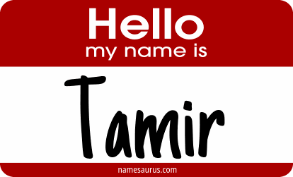 Hello my name is Tamir png download