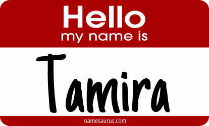 Hello my name is Tamira png download