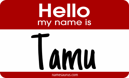 Hello my name is Tamu png download