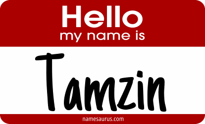 Hello my name is Tamzin png download