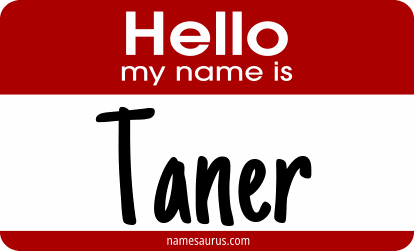 Hello my name is Taner png download