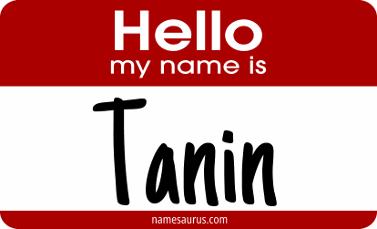 Hello my name is Tanin png download